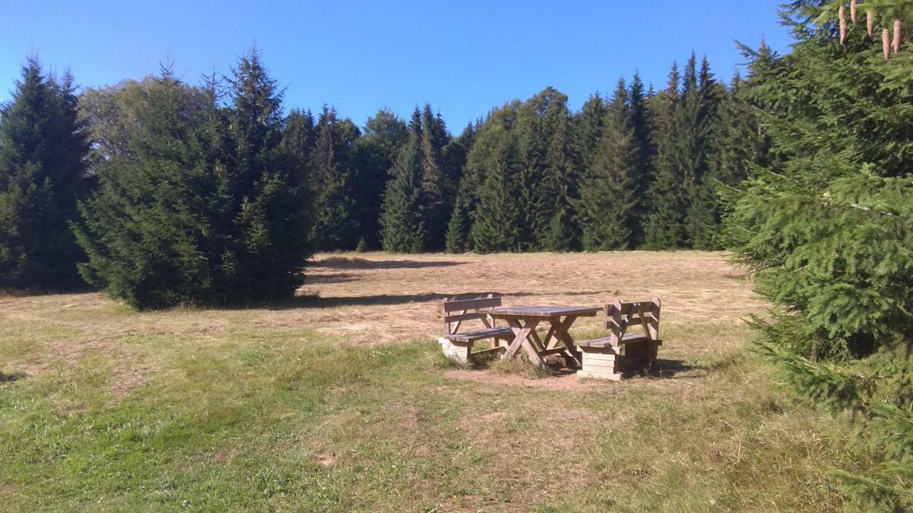 Apt.Jana ,Apt.Terezka Stožec Buitenkant foto