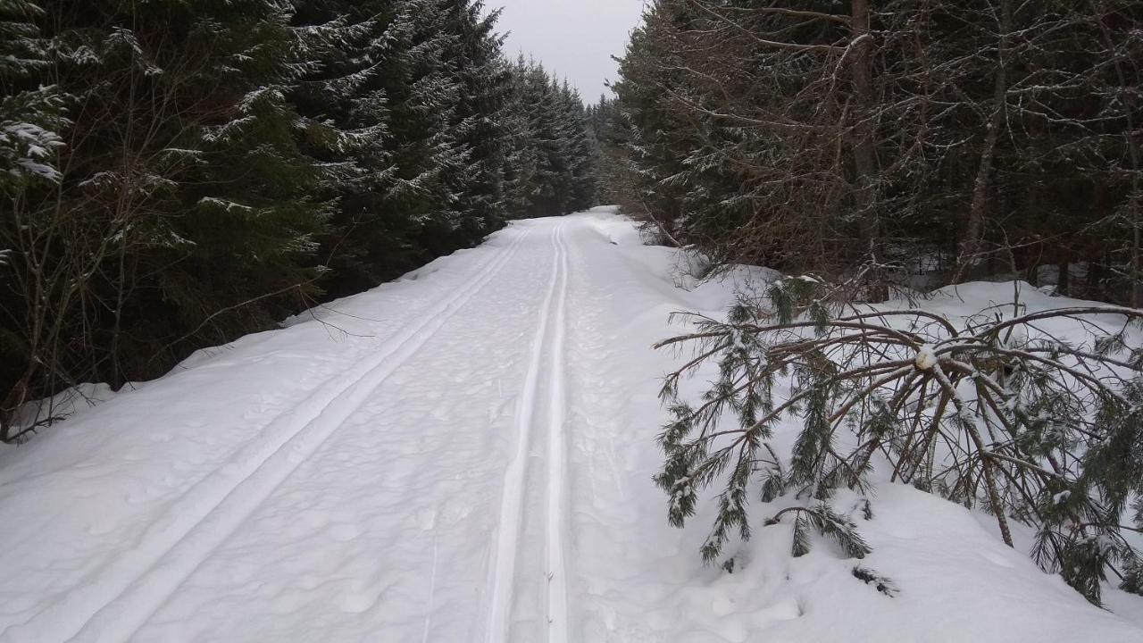 Apt.Jana ,Apt.Terezka Stožec Buitenkant foto